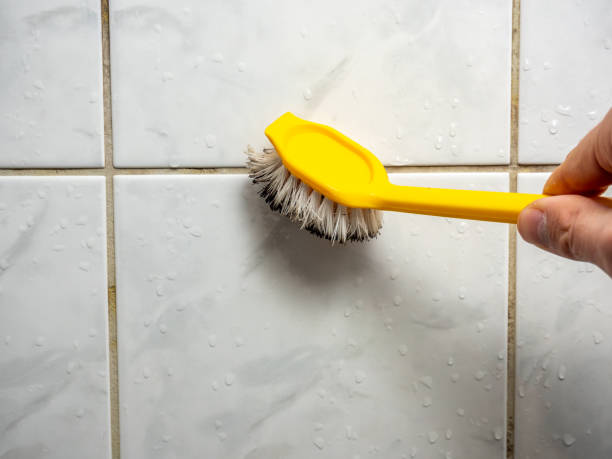 Best Best Mold Removal Companies  in Dysart, IA