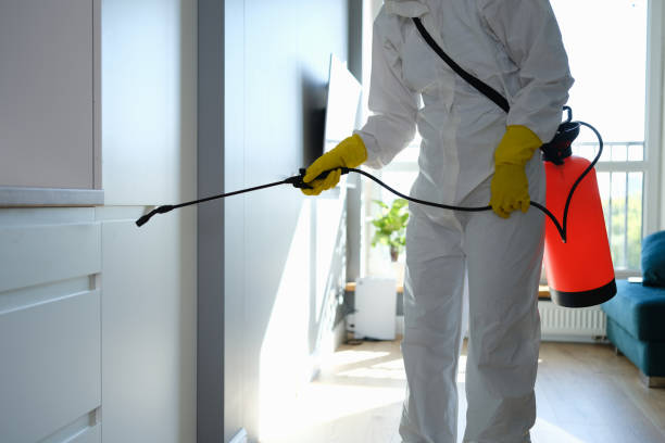 Best Professional Mold Removal  in Dysart, IA