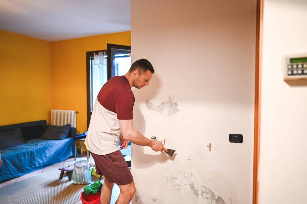 Best Emergency Mold Removal  in Dysart, IA